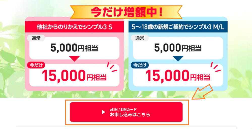 MNP 今のスマホのまま 手順