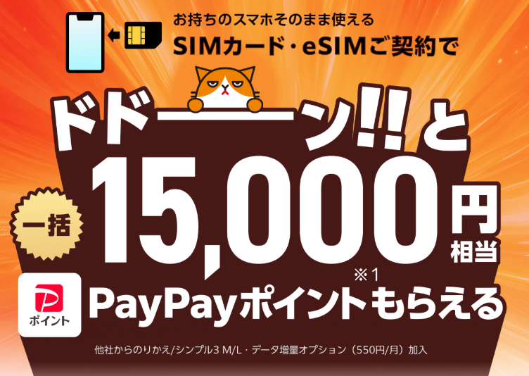 ワイモバイルヤフー店-SIMご契約特典