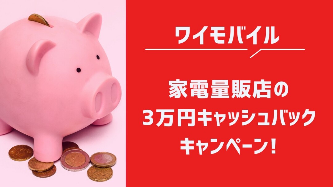 家電量販店のワイモバイル3万円キャッシュバック