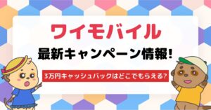 ワイモバイル 30,000円キャッシュバック