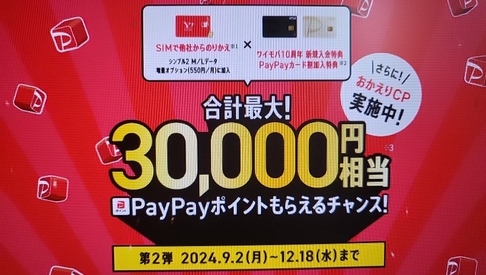 YM×PayPay(2)