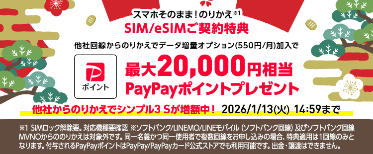 ワイモバイル年末年始セール-SIM