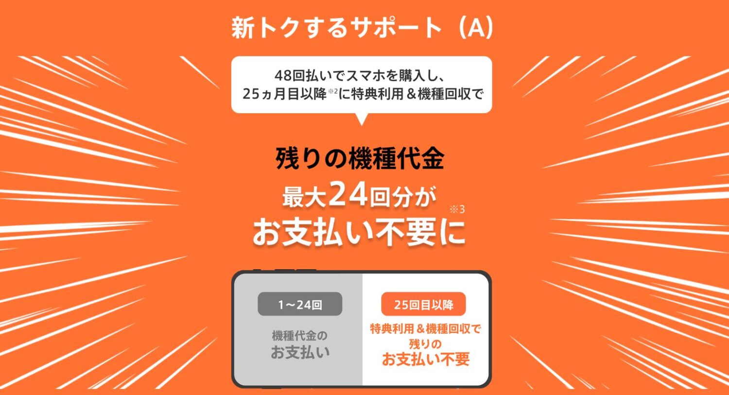 新トクするサポート（A）概要1