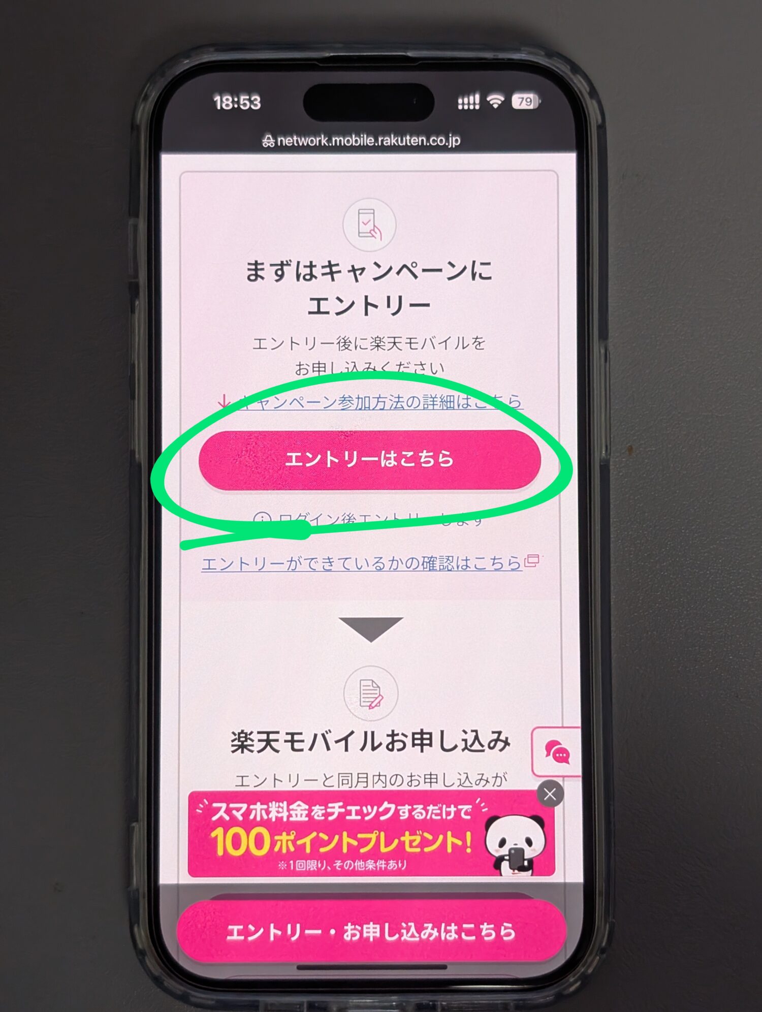 楽天モバイル エントリー3