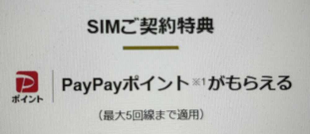 ヤフー店SIM契約特典