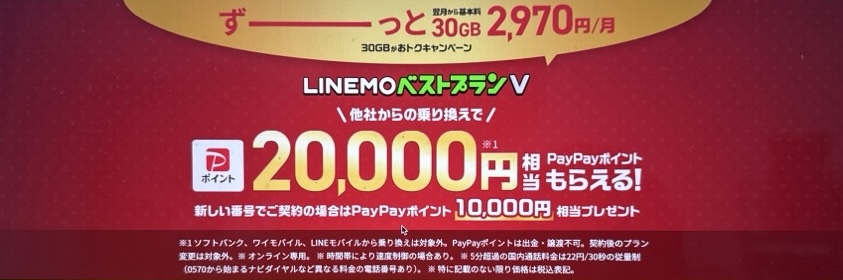 LINEMOベストプランV
30GBがおトクキャンペーン