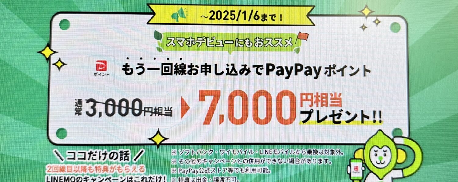 もう1回線申し込み3,000円相当PayPayポイントプレゼント(1/6まで)