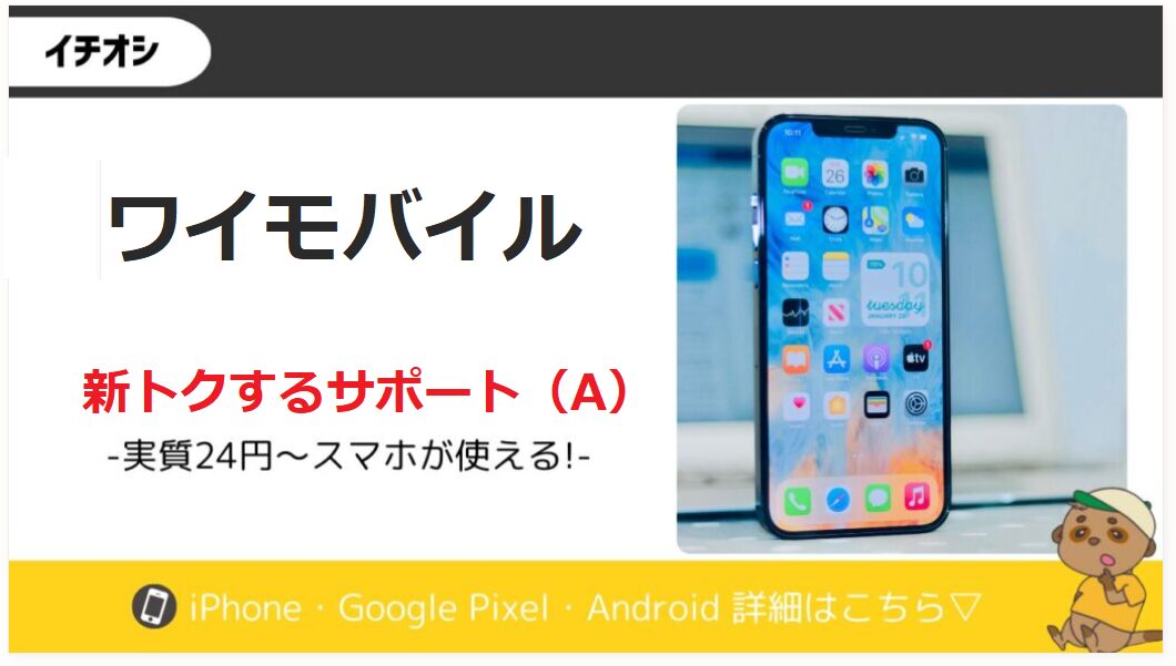 ワイモバイル 新トクするサポート(A)