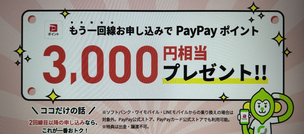 もう1回線申し込み3,000円相当PayPayポイントプレゼント