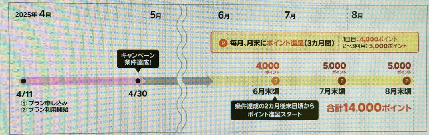 三木谷キャンペーンポイントスケジュール