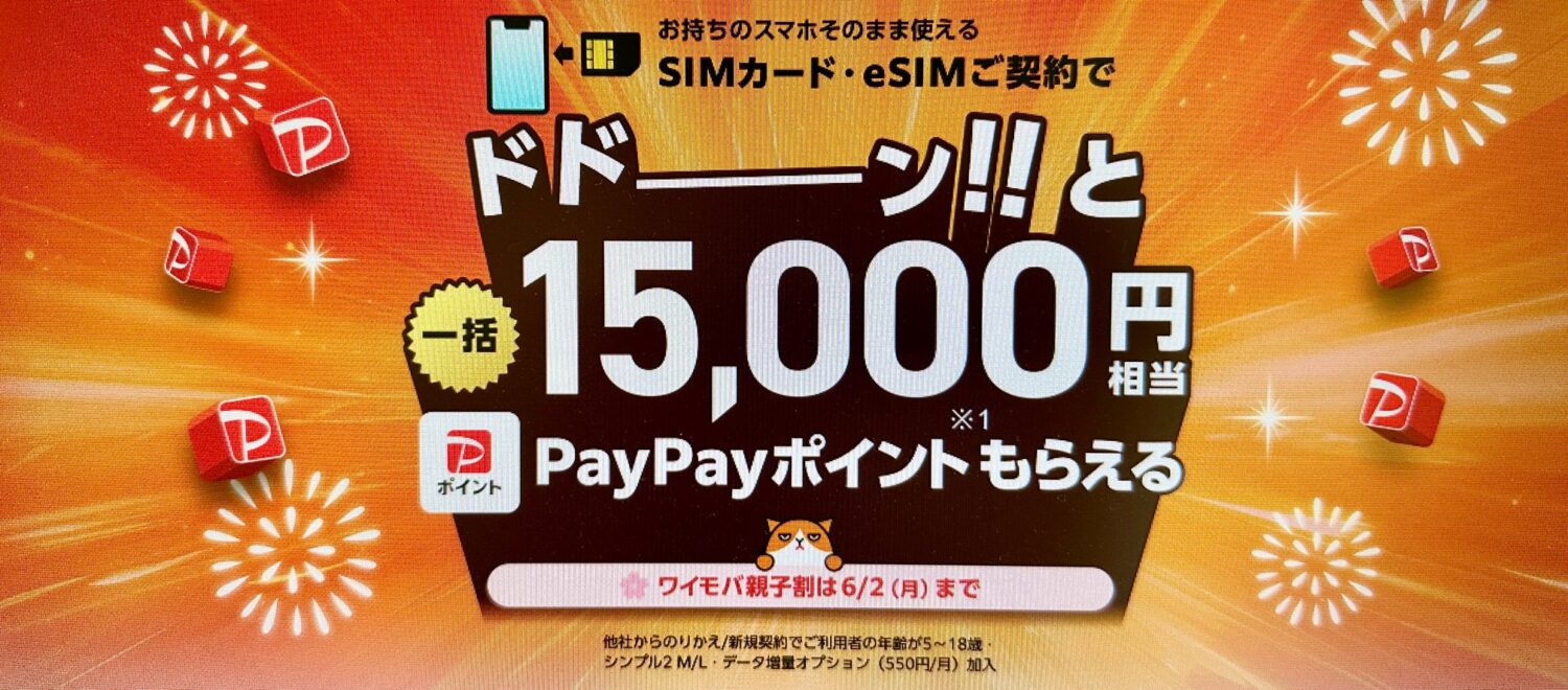 ワイモバイルヤフー店のSIMキャンペーン
