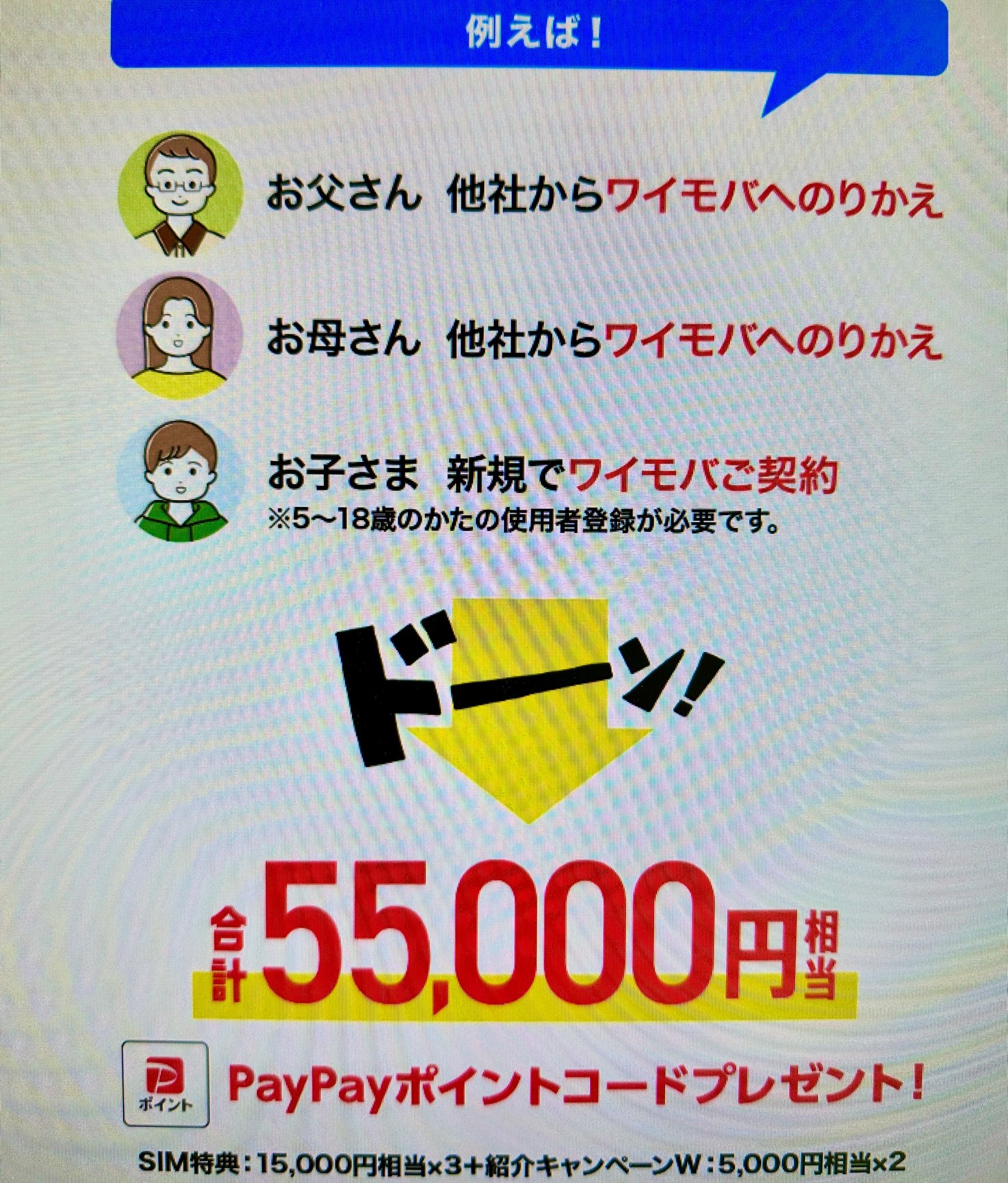 ワイモバイル 還元例(2)
