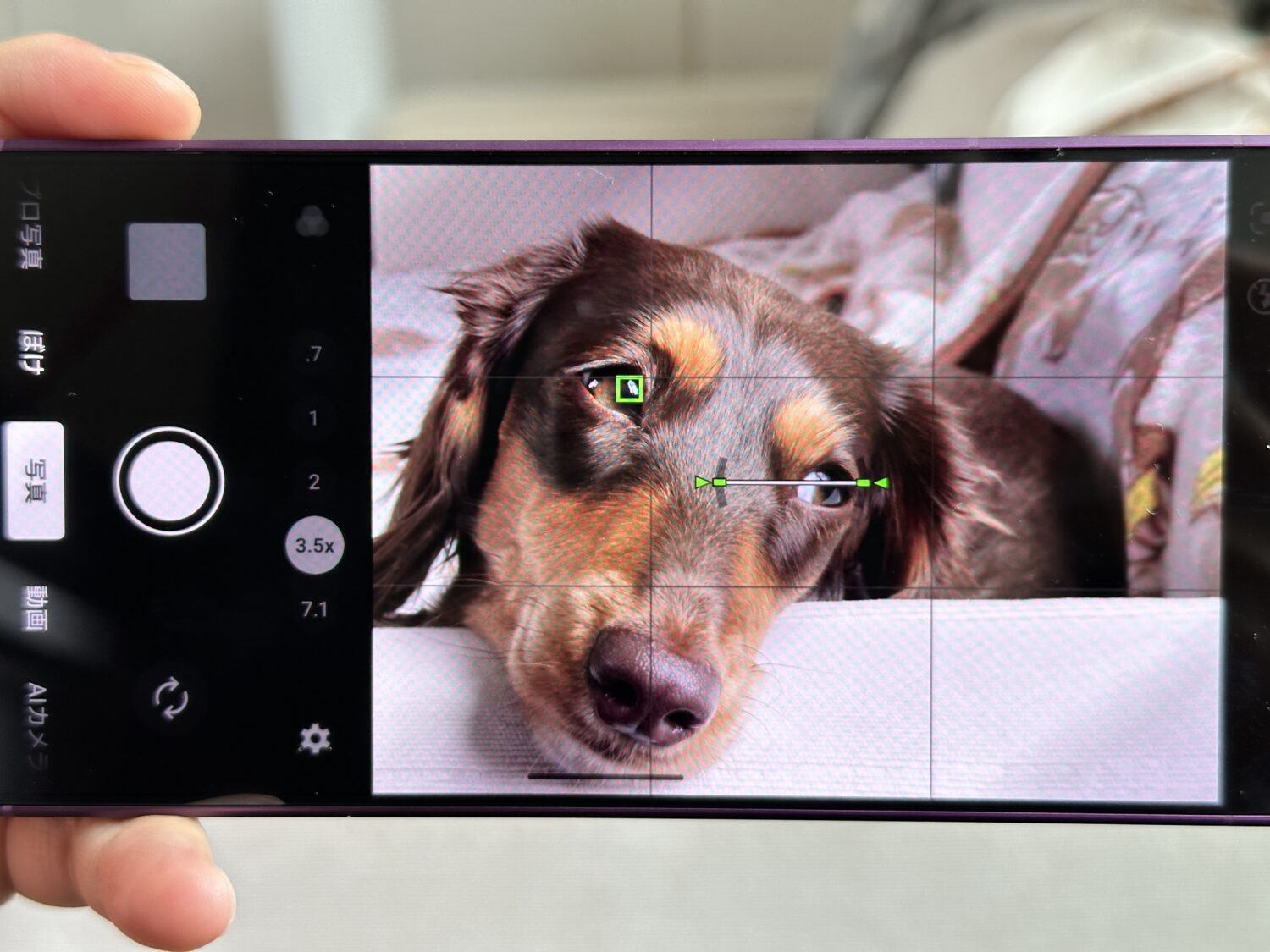 Xperia 1 VII_瞳AF