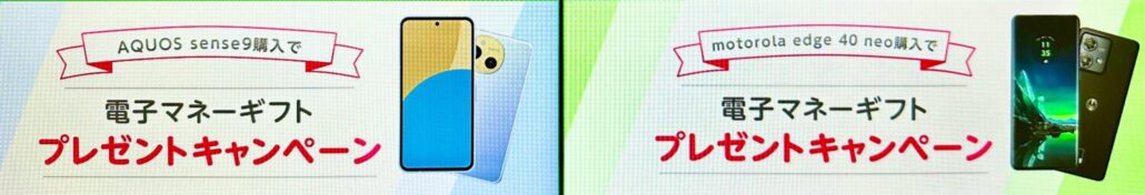 mineo電子マネーギフト(2)