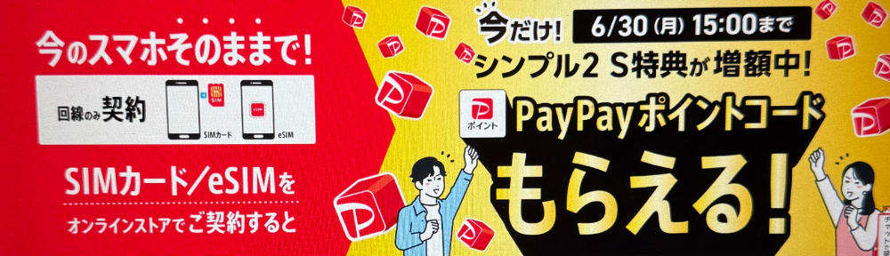 Ymobile-sim-campaign