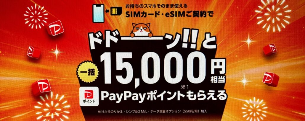 ワイモバイルヤフー店-SIMご契約特典