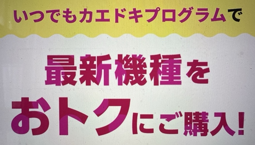 いつでもカエドキプログラム