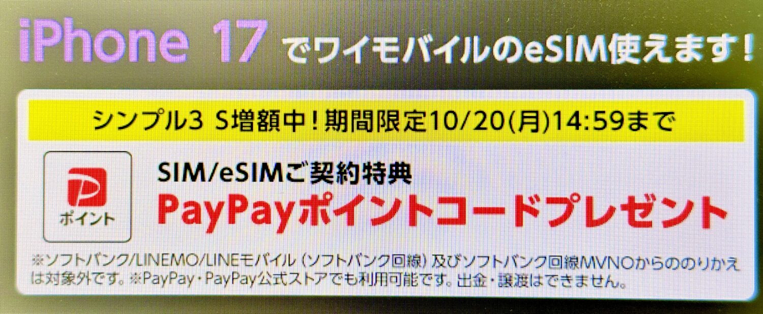 ワイモバイルオンラインストア公式のSIMキャンペーン(2万円増額Ver)(2)