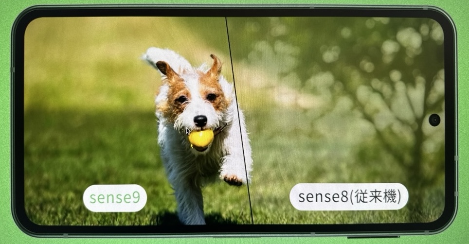 AQUOS sense9のディスプレイ