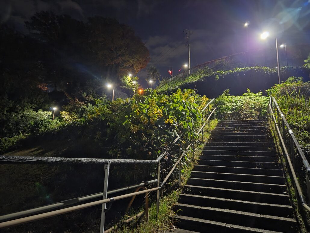 Galaxy S25 作例 夜景