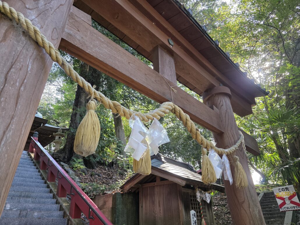 Galaxy S25 Ultra 実機