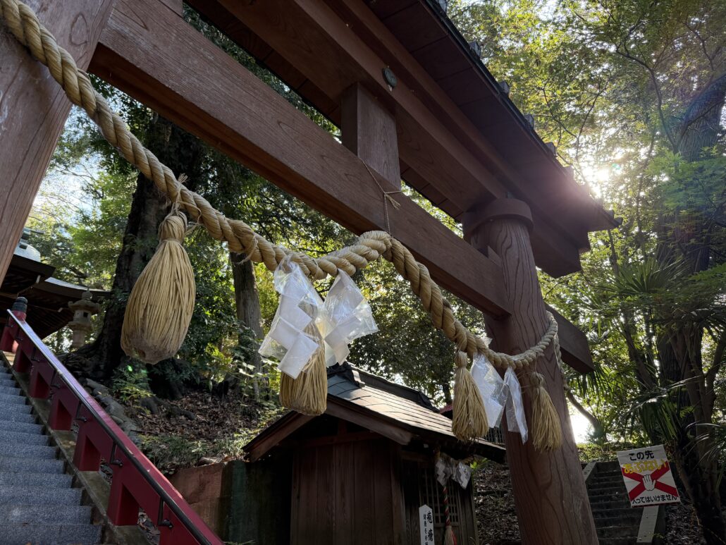 iPhone 17 Pro 作例