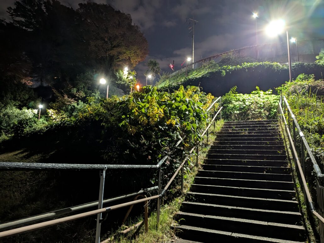 Google Pixel 10 作例 夜景