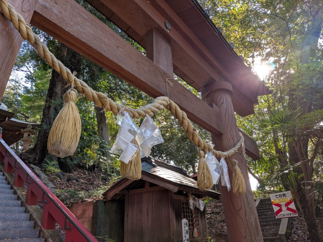 Google Pixel 10 作例