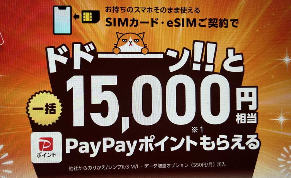 ワイモバイルヤフー店-SIMご契約特典