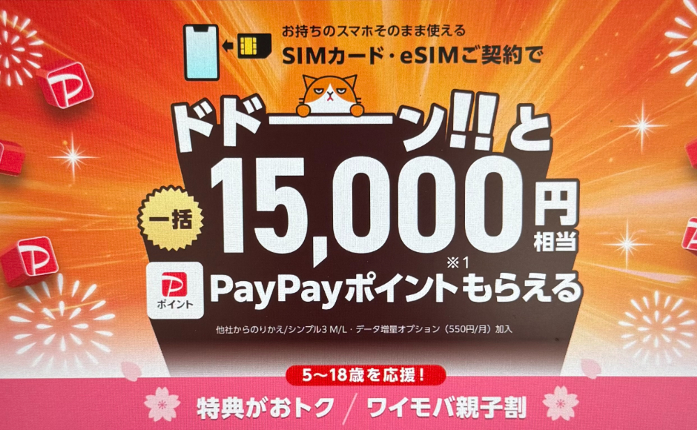 SIM契約+新どこでももらえる特典26,000円相当のPayPayポイント