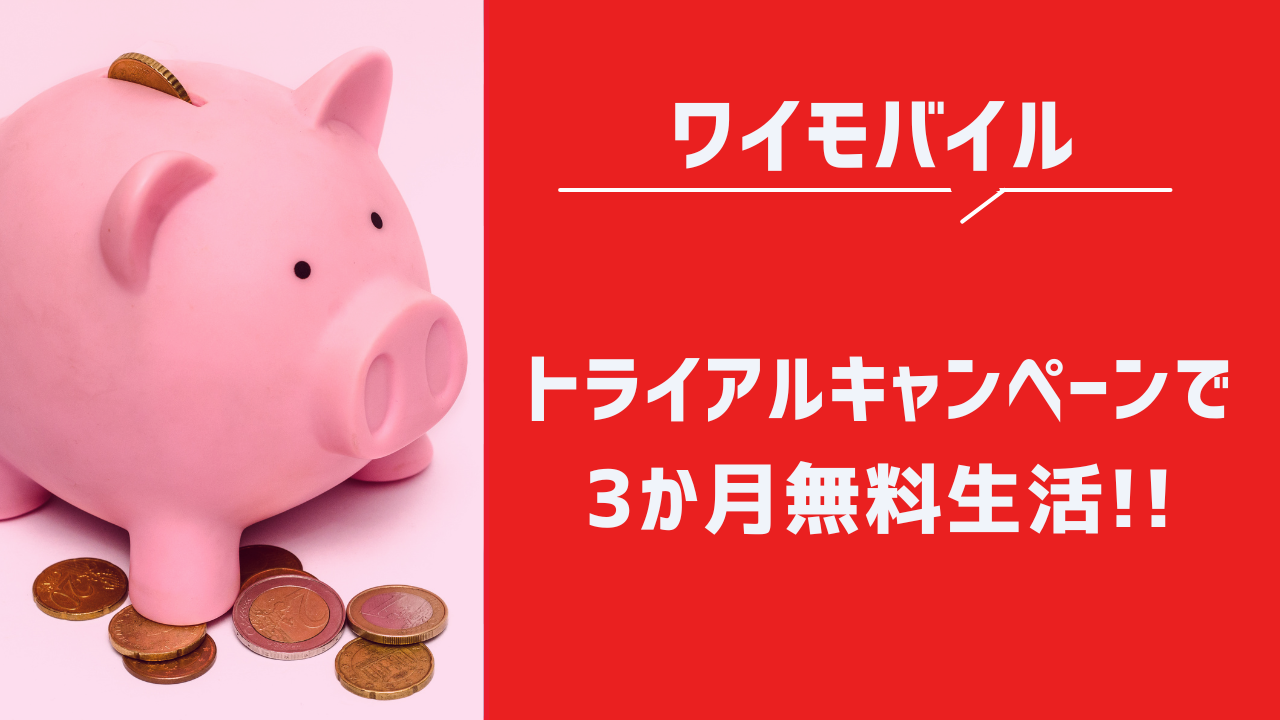 キャッチコピー