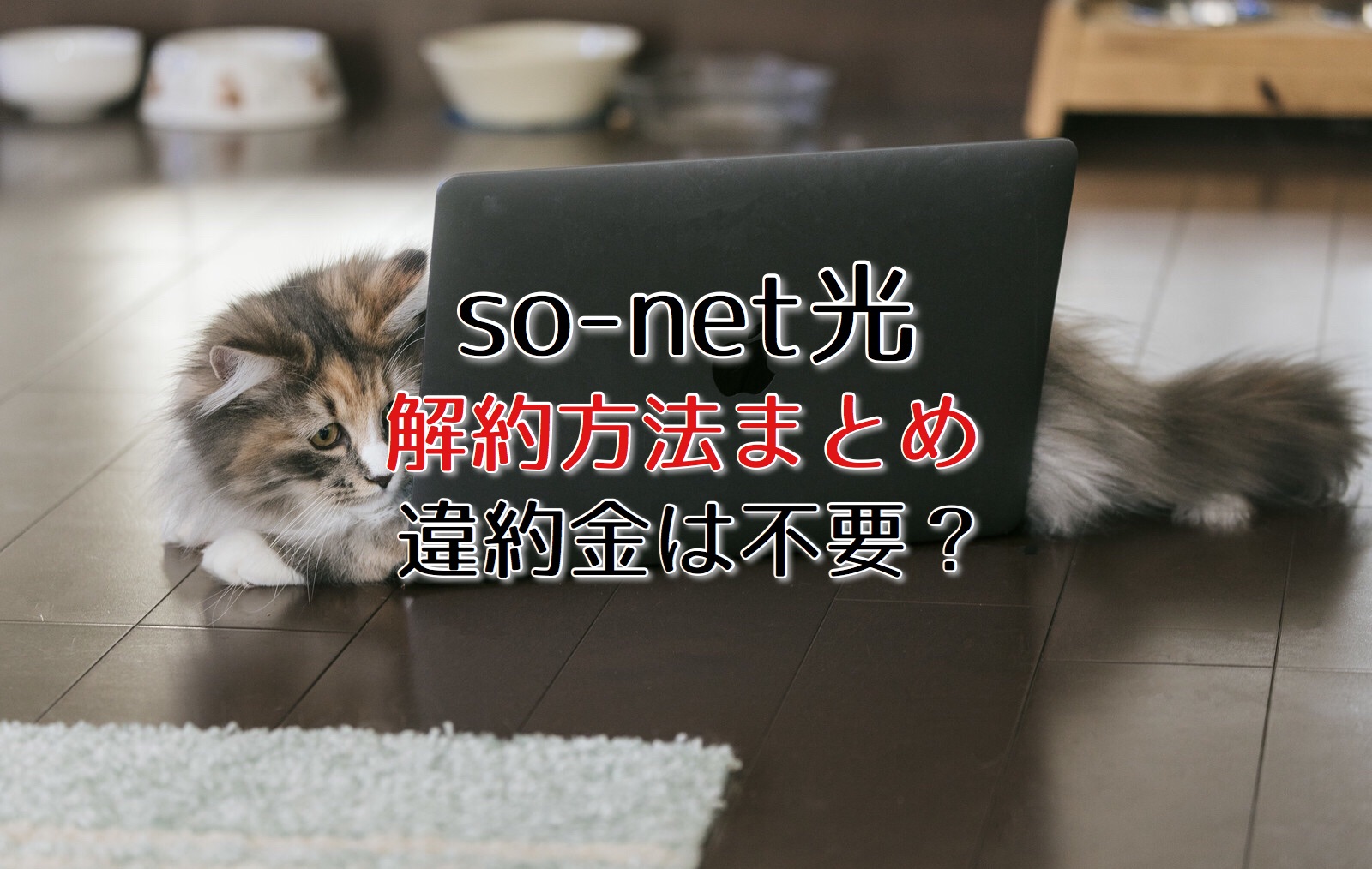 So-net光の損をしない退会・解約方法を解説！違約金は不要？ – 回線先生/4NET