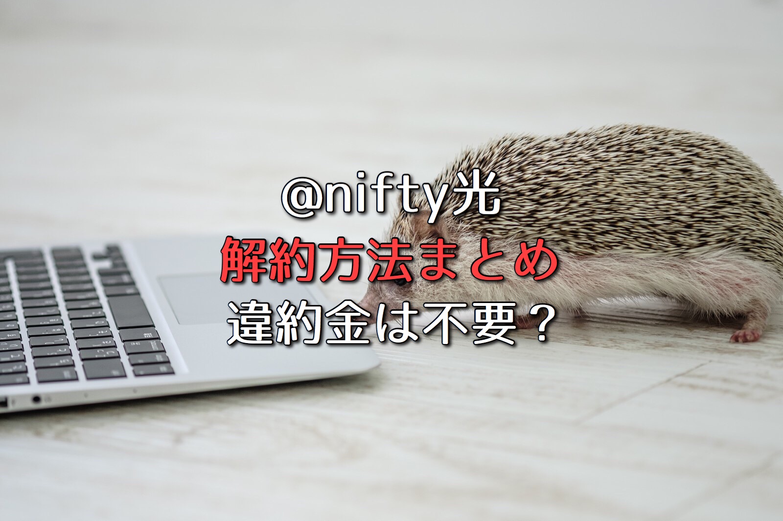 Nifty光の損をしない解除 解約方法を解説 違約金は不要 ネット回線比較4net