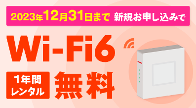 メガエッグ光 Wi-Fi6