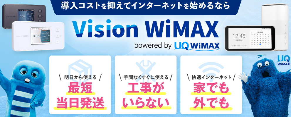 Vision WiMAX 基本情報