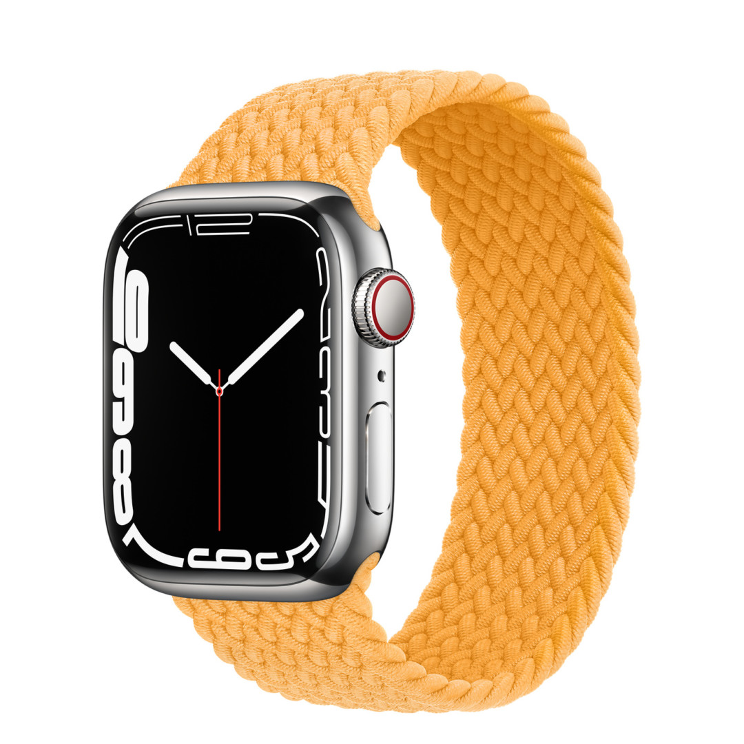 Apple Watch 7　ステンレス