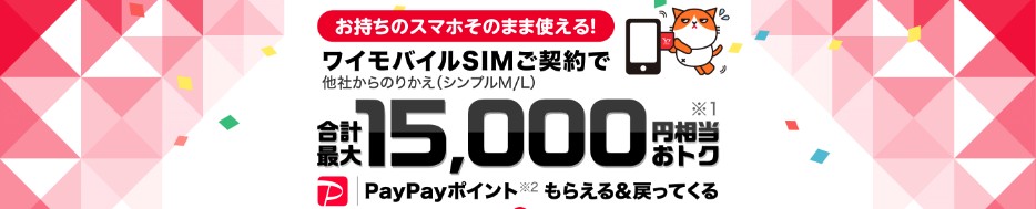 YM ヤフー店 15,000円相当 PayPayポイント還元