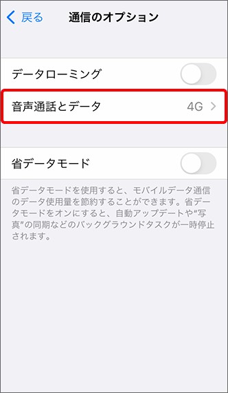 iPhone 4G LTE設定 4