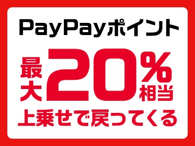 YM_SIM PayPayポイント20%上乗せ特典
