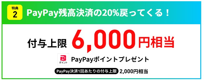LINEMOキャンペーン　PayPayポイント戻ってくるキャンペーン(3)